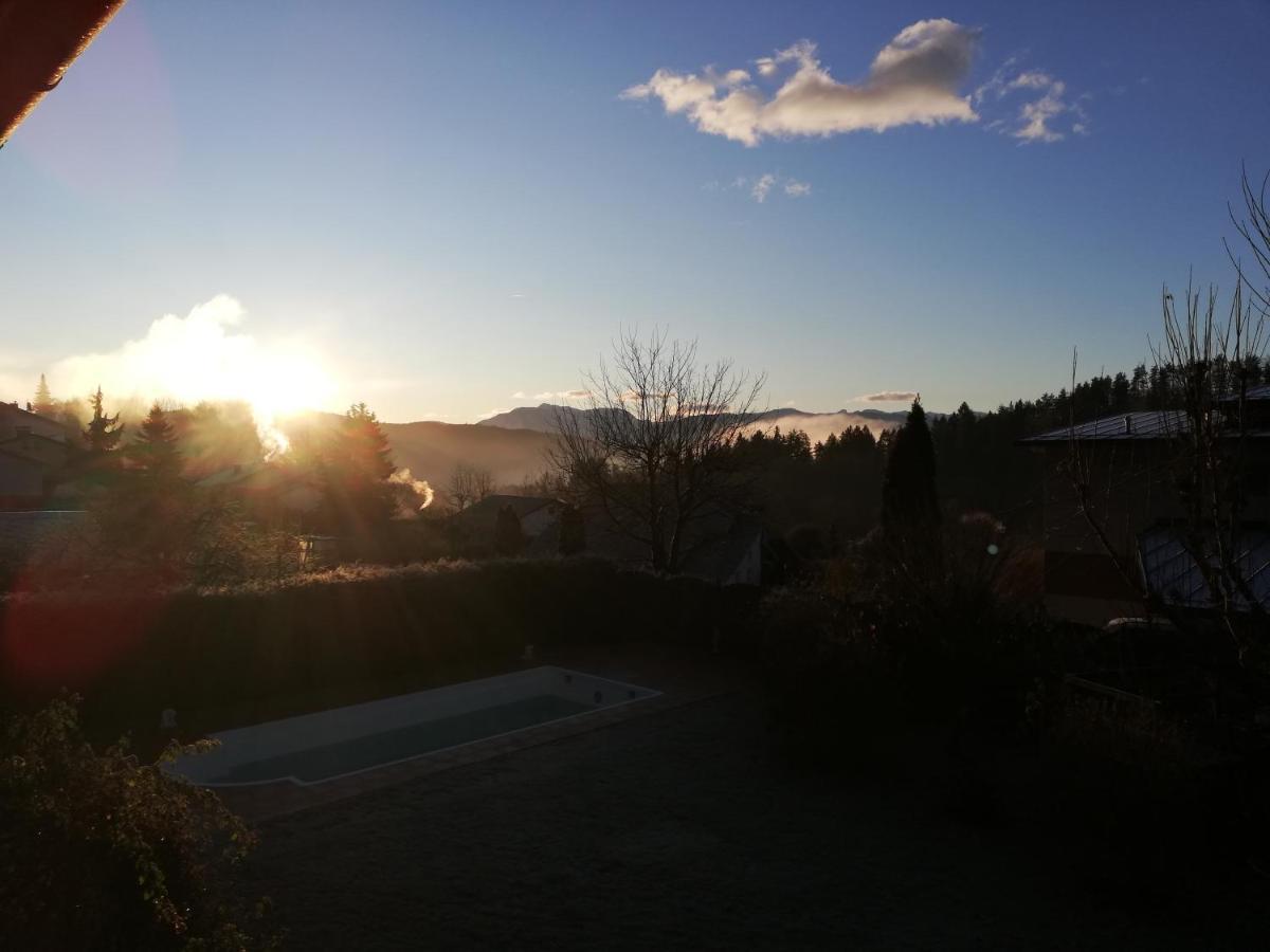 Ferienwohnung Mit Pool In Woerthersee Naehe Dellach  المظهر الخارجي الصورة