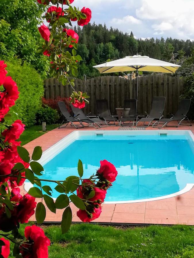 Ferienwohnung Mit Pool In Woerthersee Naehe Dellach  المظهر الخارجي الصورة