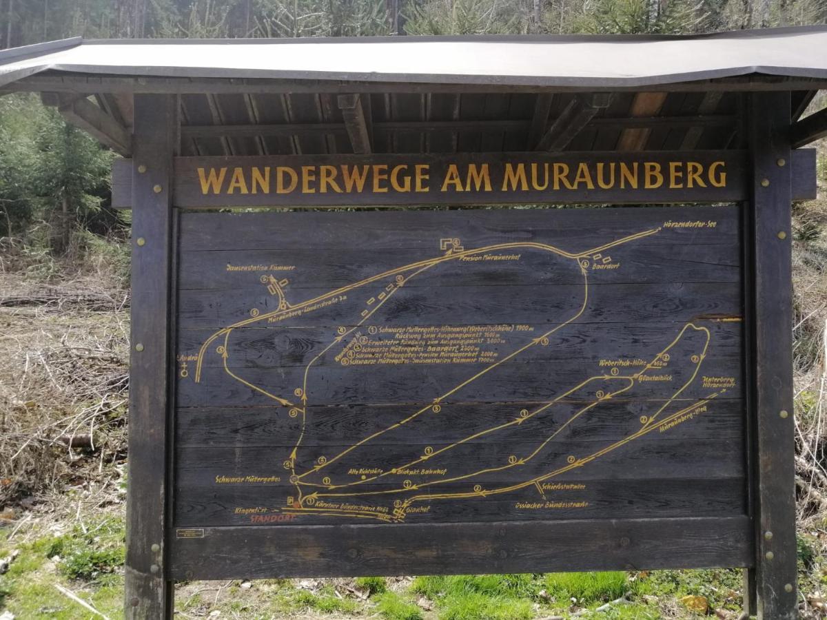 Ferienwohnung Mit Pool In Woerthersee Naehe Dellach  المظهر الخارجي الصورة